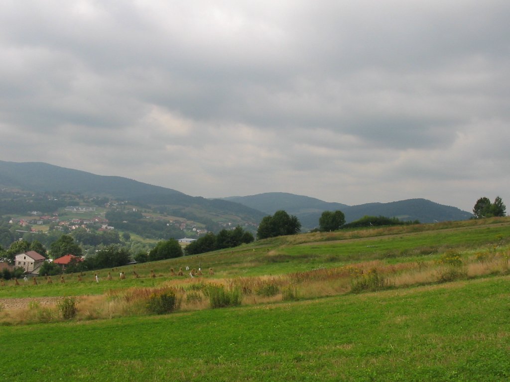 Widok na Beskid Mały (Iłowiec) z podejścia na Jaroszowicką Górę Widok na Beskid Mały (Iłowiec) z podejścia na Jaroszowicką Górę